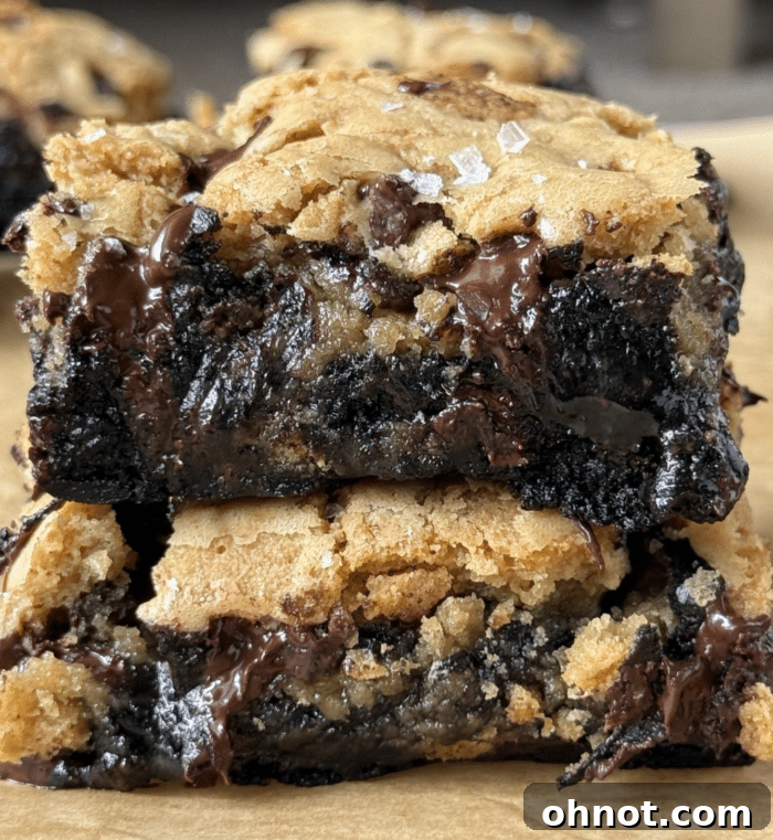 A perfectly sliced cookie brownie showing layers of fudgy brownie and chewy cookie dough, topped with chocolate chips.