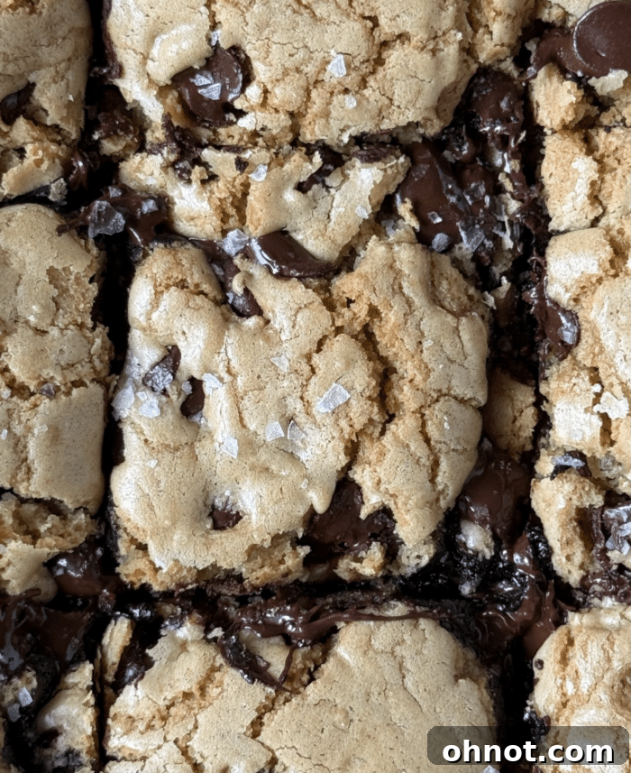 Close-up of a gooey sliced cookie brownie bar, showing the distinct cookie and brownie layers.