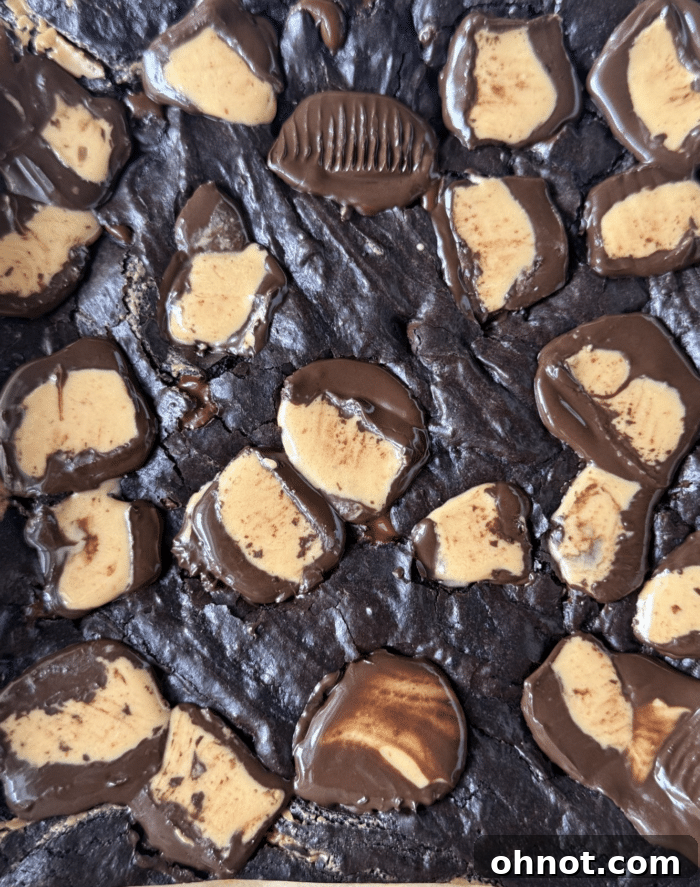 Melty chocolate bars.
