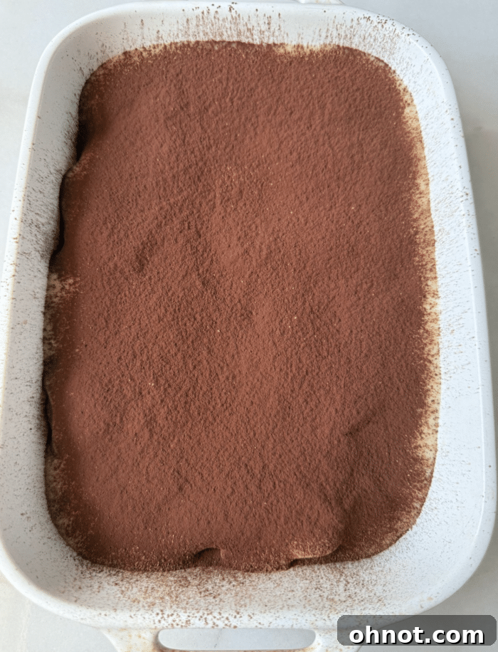 Frosting with cocoa dusting.