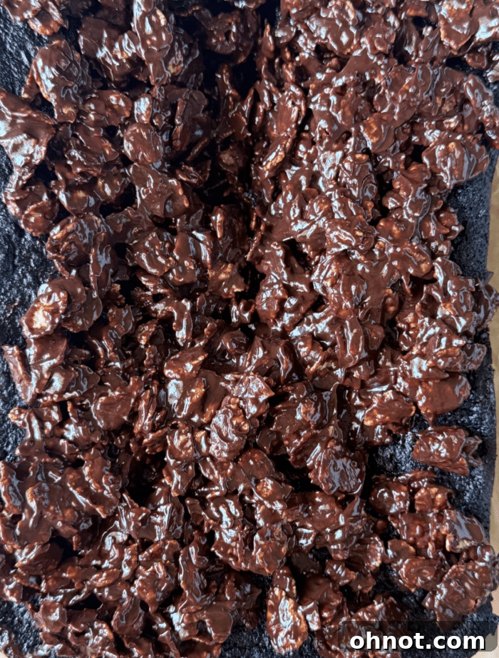 Overview of chocolate cake.
