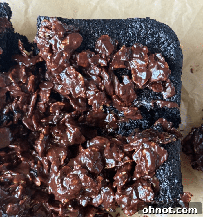Piece of chocolate cake.