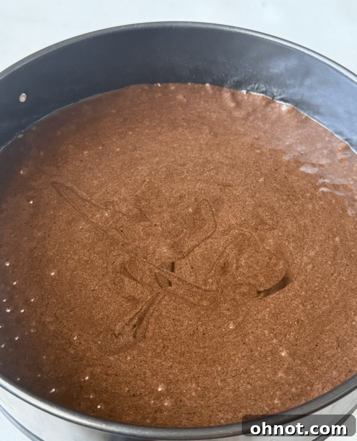 Springform pan with cake batter.
