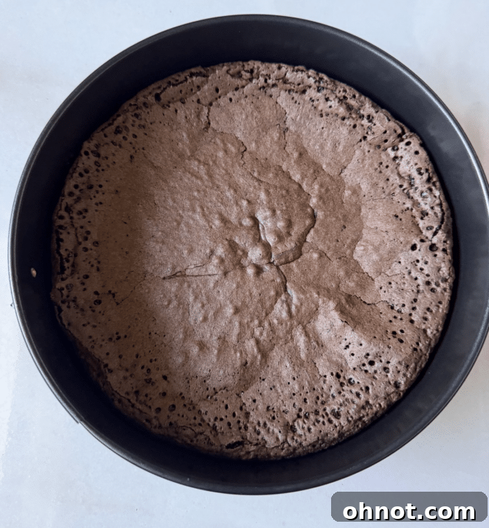 Baked chocolate cake.