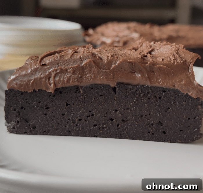Healthy chocolate cake.