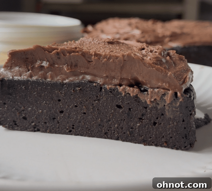 Bite of chocolate cake.