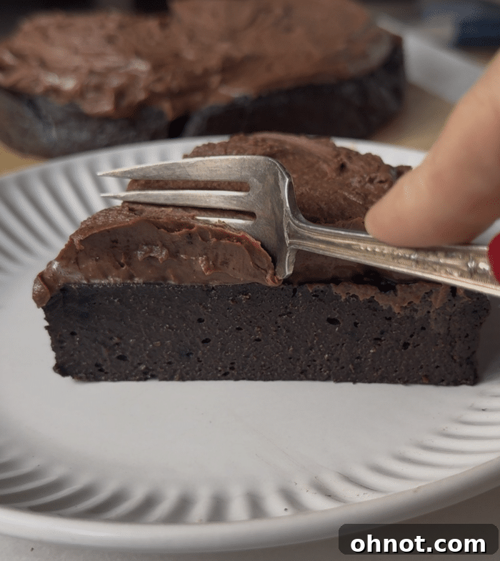 Fork with healthy chocolate cake.