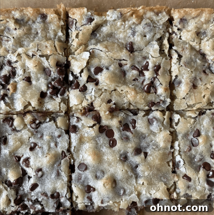 Chocolate chip squares.
