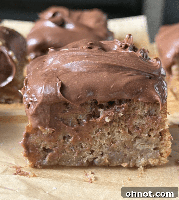 Banana cake with chocolate frosting.