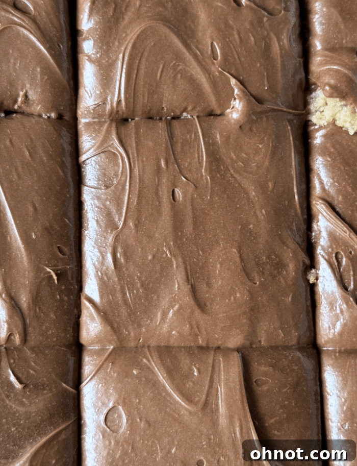 Creamy chocolate frosting.