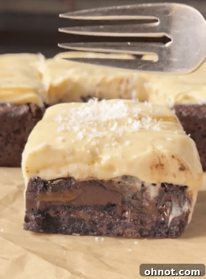 Fork with frosted brownie.