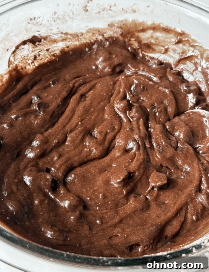 Chocolate batter in bowl.
