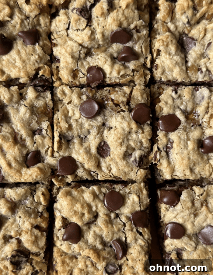 Sliced chocolate chip bars.