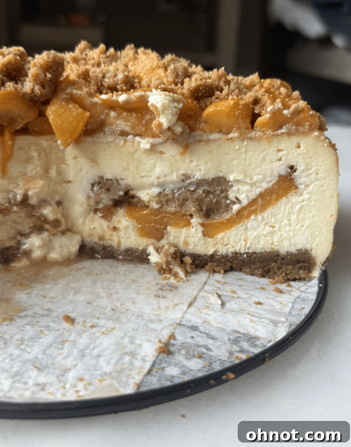 Peach cobbler crumb.