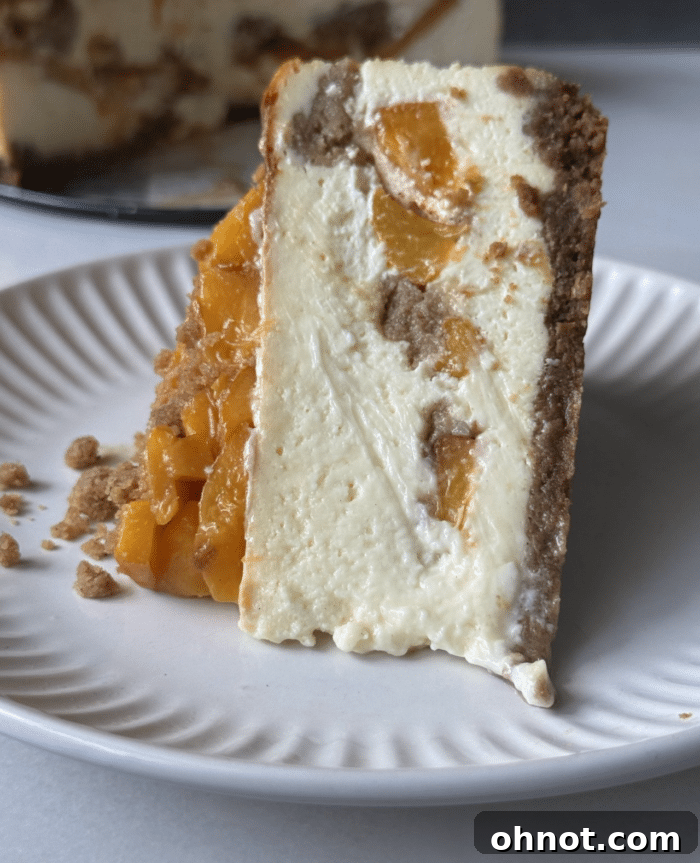 Cheesecake on its side.