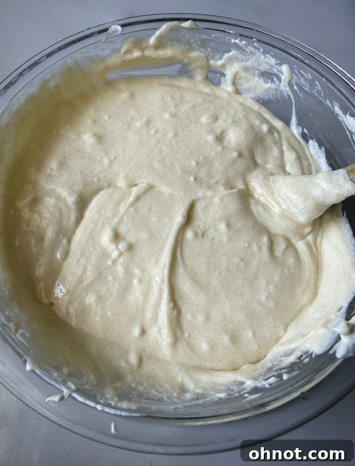 Vanilla cheesecake batter.