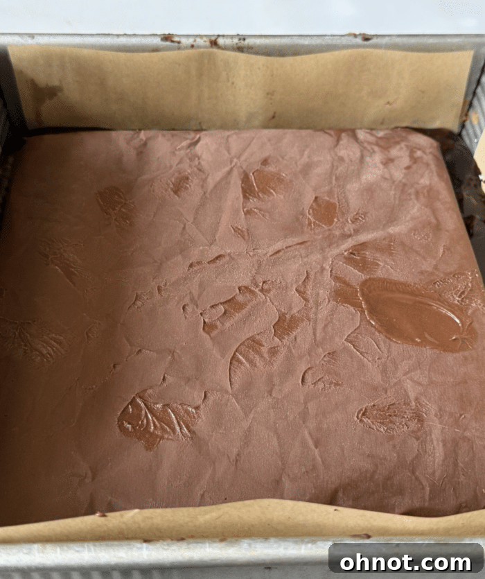 Frozen fudge layer.