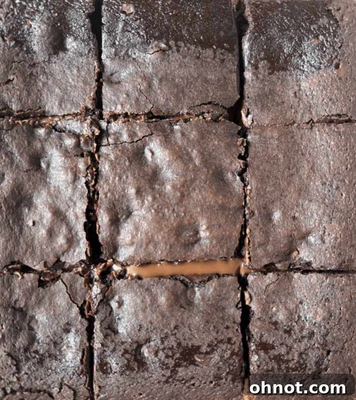 Stuffed chocolate squares.