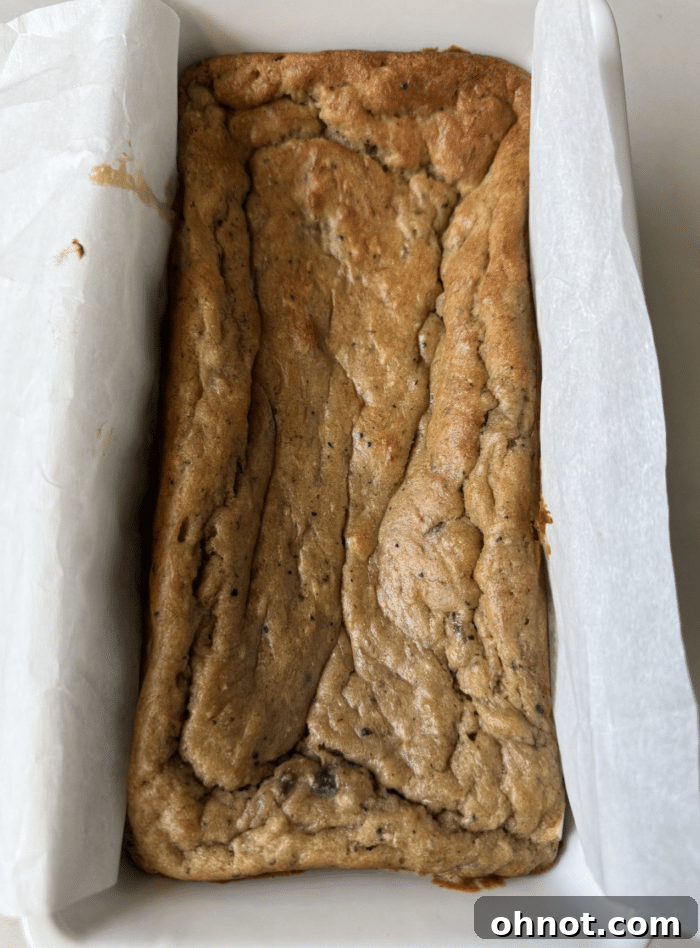 Baked bread in loaf pan.